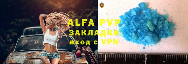 индика Алексеевка