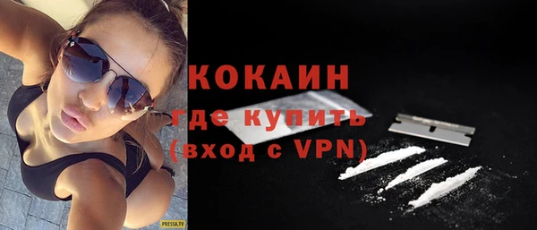 индика Алексеевка