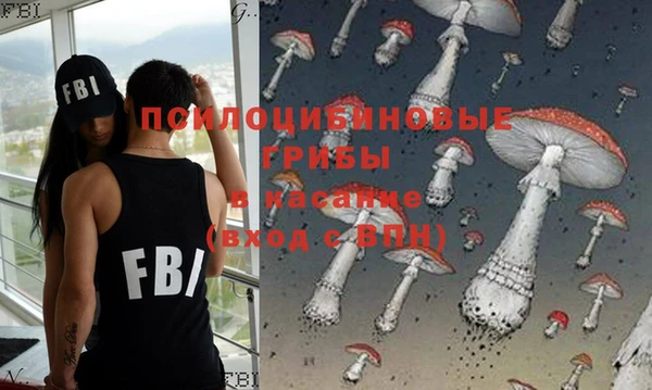 индика Алексеевка
