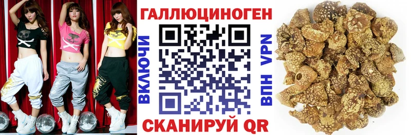 закладка  Гуково  Псилоцибиновые грибы ЛСД 